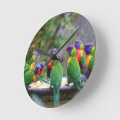 Colorful Rainbow Lorikeet Parrots Eating ラウンド壁時計 (傾斜)