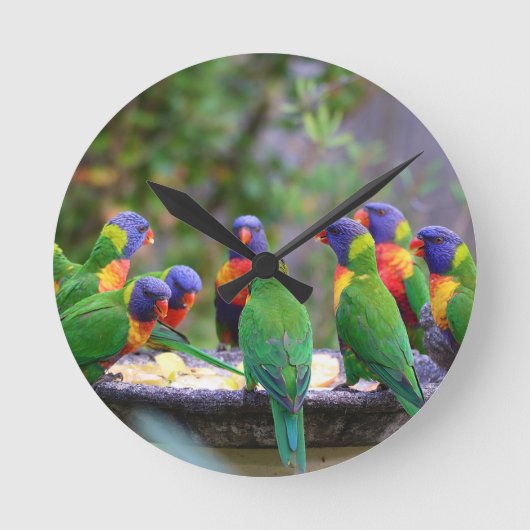 Colorful Rainbow Lorikeet Parrots Eating ラウンド壁時計 (正面)