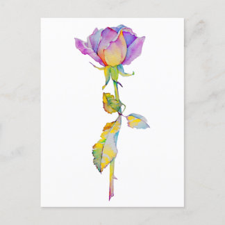 Colorful Rose Anytime Card シーズンポストカード