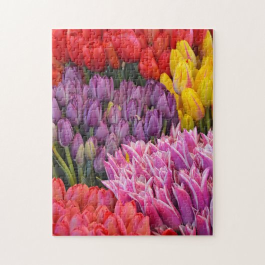 Colorful spring tulips puzzle ジグソーパズル (縦)