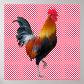 Colorful Strutting Rooster Poster ポスター (正面)