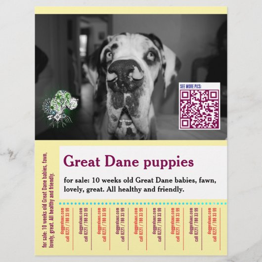 Colorful tear off dog flyer  チラシ (正面)