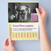 Colorful tear off dog flyer  チラシ (手)