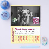 Colorful tear off dog flyer  チラシ (シングル)