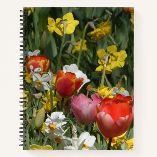 Colorful Tulips & Daffodils Notebook ノートブック (正面)