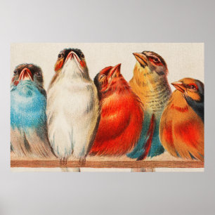 Colorful vintage illustration of five little birds ポスター