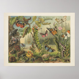 Colorful Vintage Insect Illustration ポスター