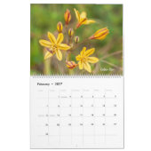 Colorful Wildflowers  カレンダー (2月 2027)