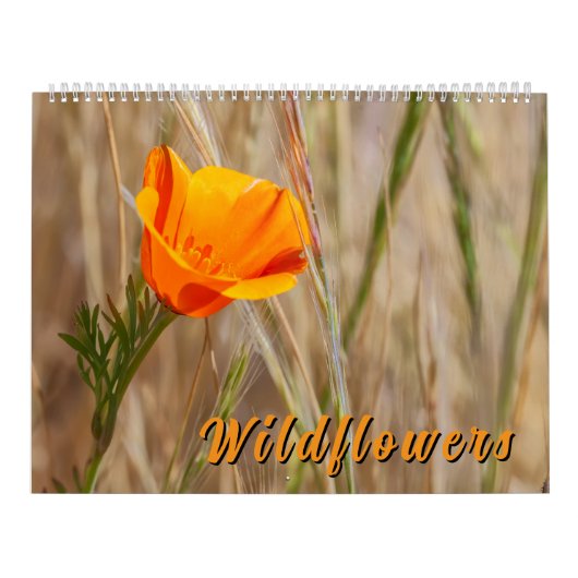 Colorful Wildflowers  カレンダー (カバー)