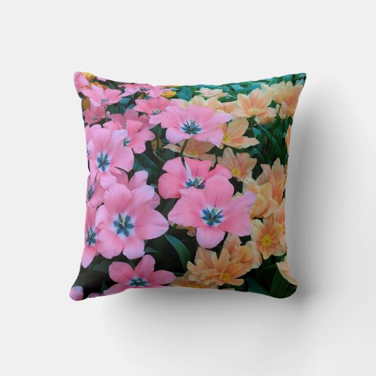 Colorfull クッション (裏面)