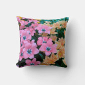 Colorfull クッション (正面)