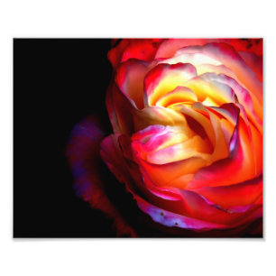 Colori Brillanti フォトプリント
