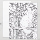 Coloring Page - Cat on Fence (正面/裏面)