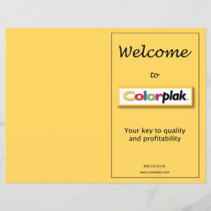 Colorplak価格 チラシ