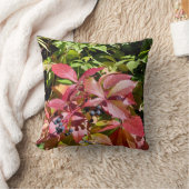 Colors クッション (ブランケット)