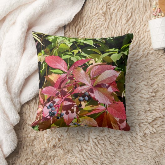 Colors クッション (ブランケット)