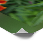 colors of marigolds ポスター (角)