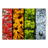 Colors of the Changing Seasons Quadriptych (正面横)