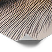 Colosseum in rome italy at sunset ポスター (角)