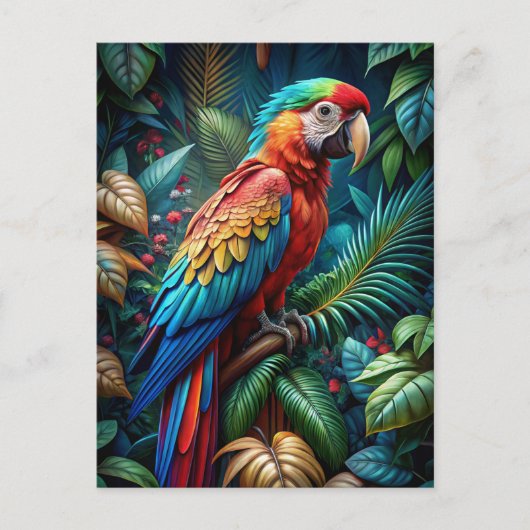 Colourful Parrot ポストカード (正面)