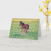 Colt in Dandelion Field カード (黄色い花)
