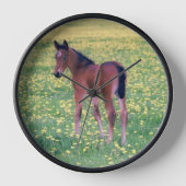 Colt in Dandelion Field 壁時計 (正面)