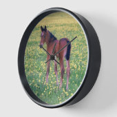 Colt in Dandelion Field 壁時計 (傾斜)