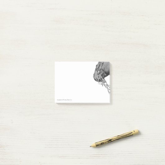 Colt in the Two Rein - 3" x 4" Notes ポストイット (デスク上)