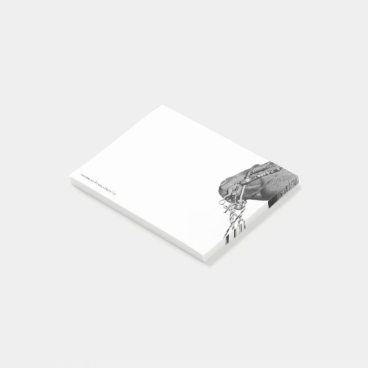 Colt in the Two Rein - 3" x 4" Notes ポストイット (アングル)
