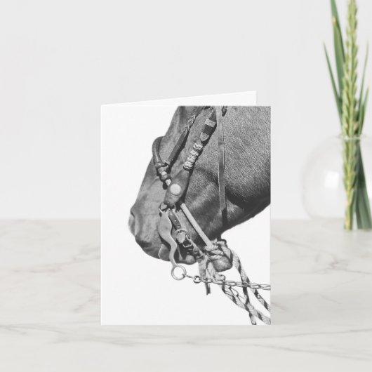 Colt in the Two Rein - 4" x 5.6" Notecard カード (正面)