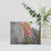 COLTON, C.A.，はがき ポストカード (スタンド正面)