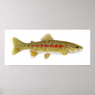 Columbia River Redband Trout ポスター