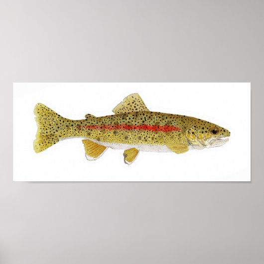 Columbia River Redband Trout ポスター (正面)