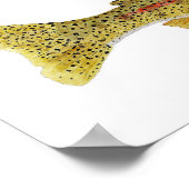 Columbia River Redband Trout ポスター (角)