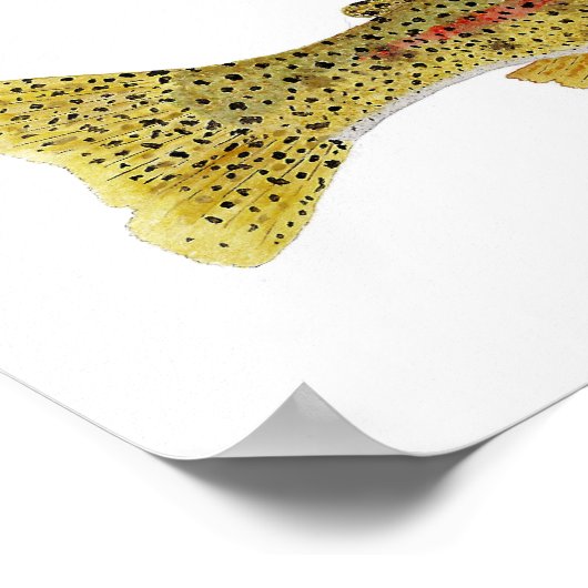 Columbia River Redband Trout ポスター (角)