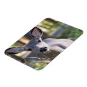 Columbian Black-tailed Doe | Washington State マグネット (左側)