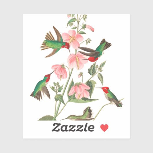 Columbian Humming by John James Audubon シール (シート)