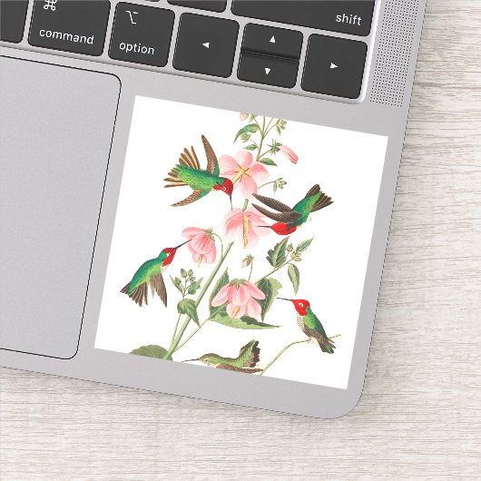 Columbian Humming by John James Audubon シール (詳細)