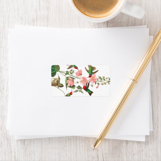 Columbian Humming by John James Audubon ラベル (インサイチュ)