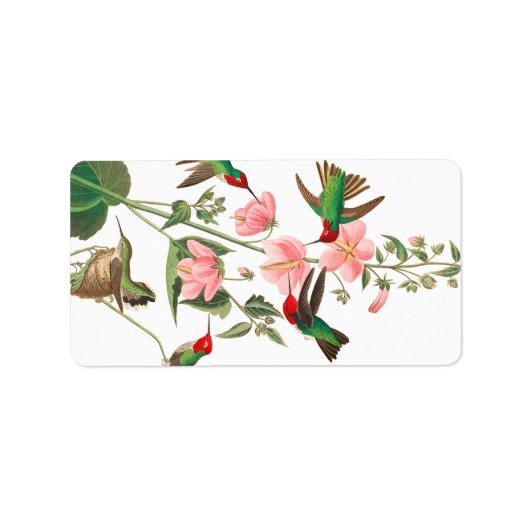 Columbian Humming by John James Audubon ラベル (正面)