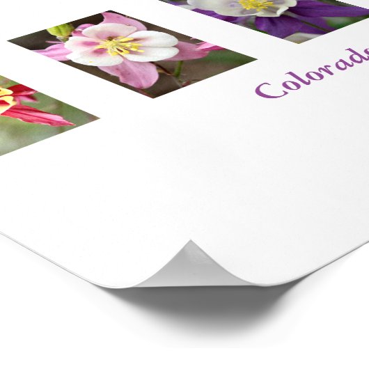 Columbine Collage Poster ポスター (角)