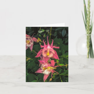 Columbine @ Stenton House Museum & Garden Notecard サンキューカード