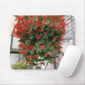 Columnea Mortiniiの金魚の植物の花 マウスパッド (マウス)