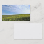Colza Field – 名刺 (正面/裏面)