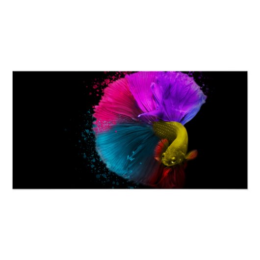 Combat Fish - Poster ポスター (正面)