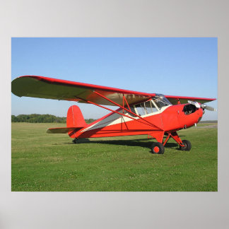 Come fly with me ポスター