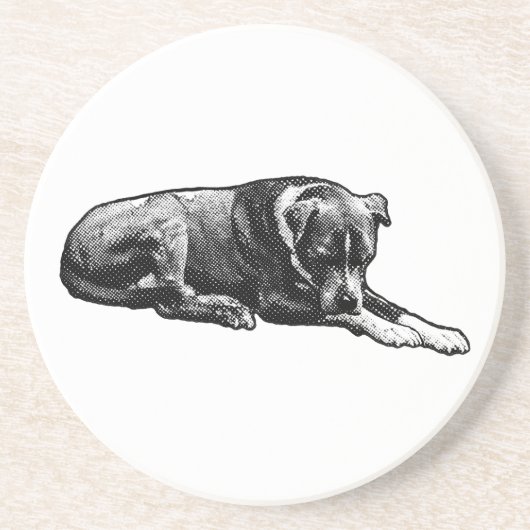 Comic-Dot Paws Coasters コースター (正面)