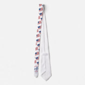 Commemorative USA 250th Anniversary  Neck Tie ネクタイ (裏面)