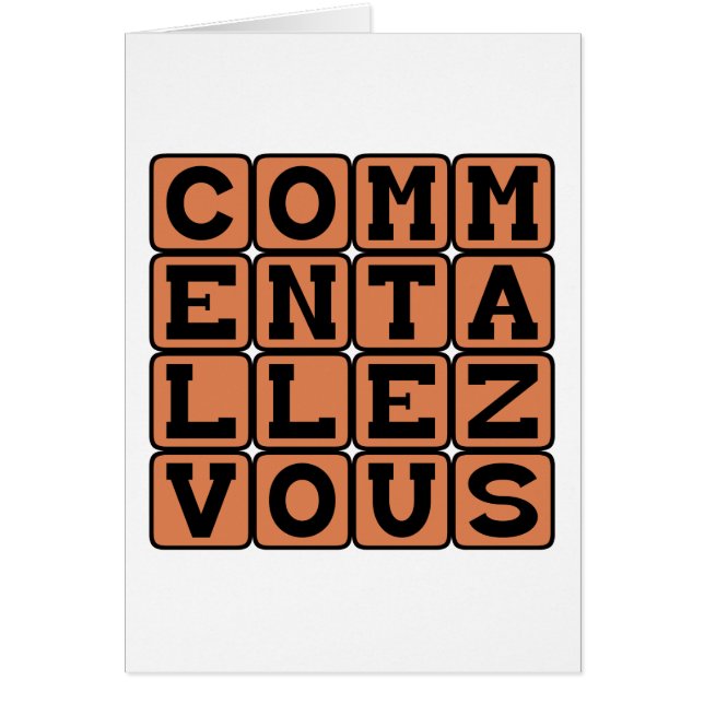 Comment Allez-Vous, どのようにお元気ですか (正面)