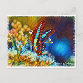 Common Bluebottle ポストカード